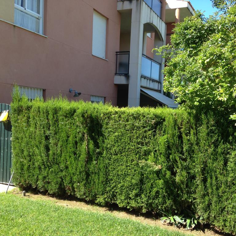Divi Apartments Коста-Бальена Экстерьер фото